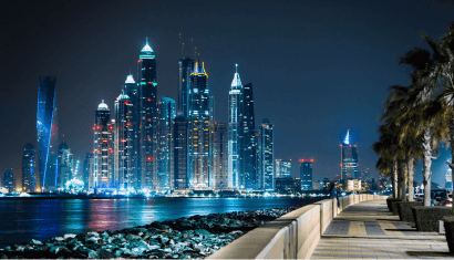 Blue Visa Support