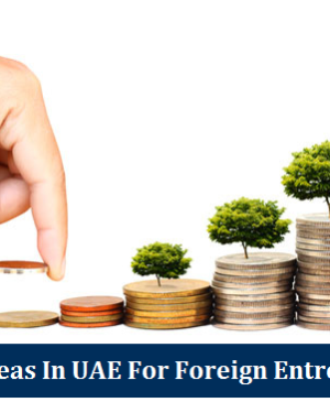 Business Ideas UAE Foreign Entrepreneurs