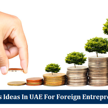 Business Ideas UAE Foreign Entrepreneurs
