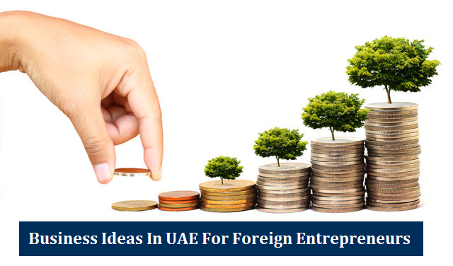 Business Ideas UAE Foreign Entrepreneurs