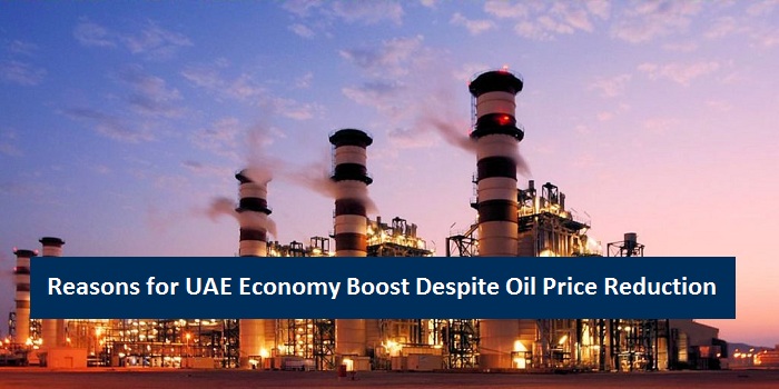 UAE Economy Boost Despite Oil Price