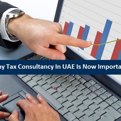 Why Tax Consultancy In UAE Now Important
