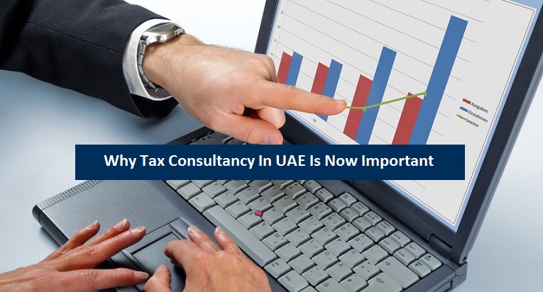 Why Tax Consultancy In UAE Now Important