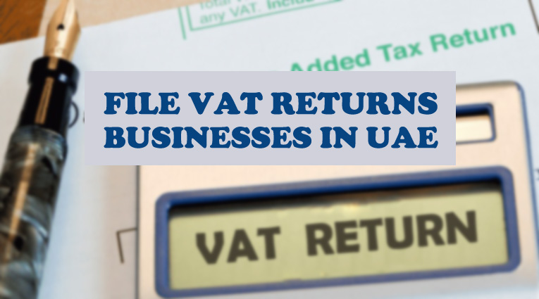 File VAT returns for businesses in uae