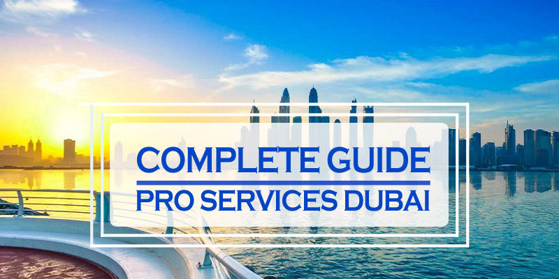A Complete Guide To PRO Services In Dubai