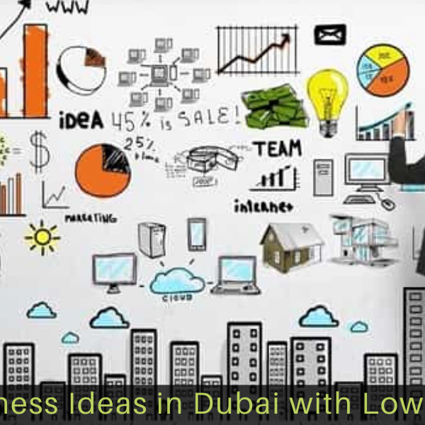 5-Best-Business-Ideas-in-Dubai-with-Low-Investment