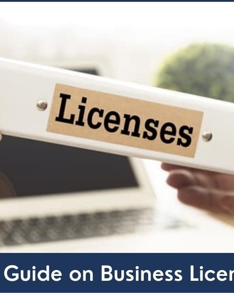 Business Licenses uae