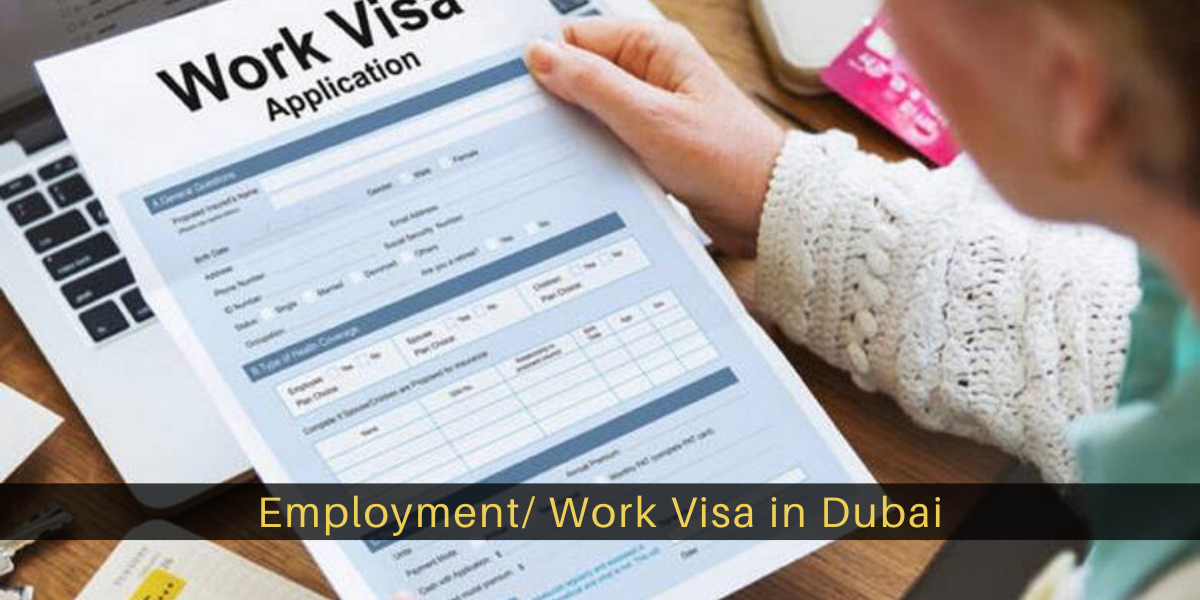 uae visit visa for job