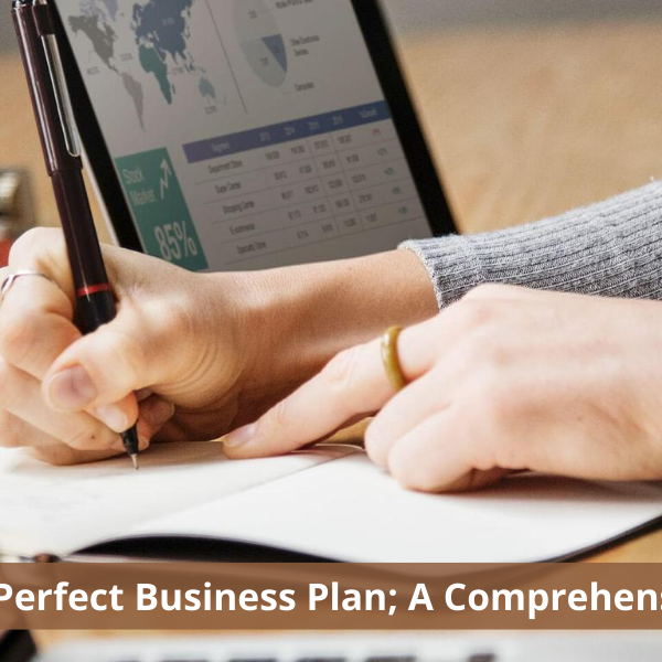 Writing a Perfect Business Plan A Comprehensive Guide Business Plan