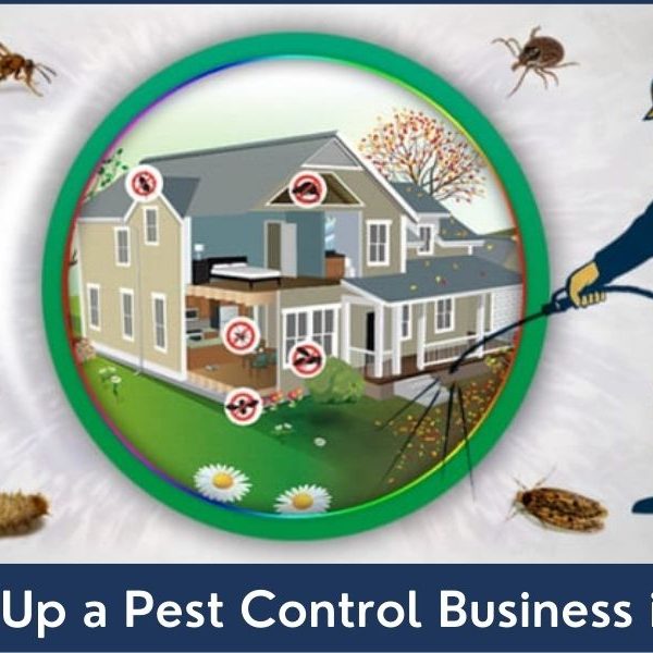 Pest Control Business Setup in Dubai Pest Control Business Setup in UAE