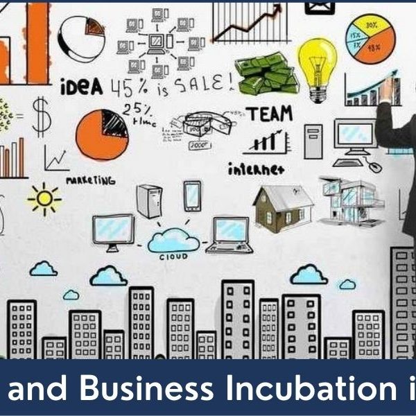 startup incubator dubai business incubator dubai