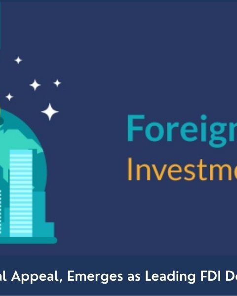 Foreign direct investment UAE