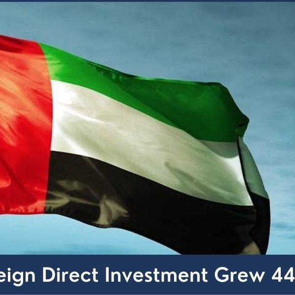 UAE’s Foreign Direct Investment Grew 44% in 2020 UAE's Foreign Direct Investment Grew 44% in 2020