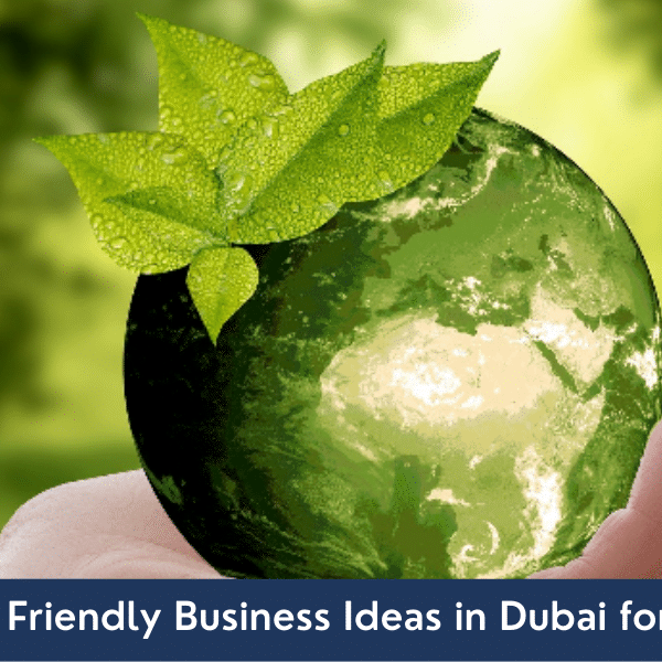 Eco Friendly Ideas in Dubai Eco Friendly Ideas in Dubai 2021