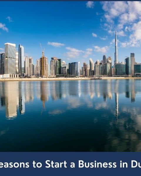 Top 15 reasons to setup a business in Dubai, UAE.