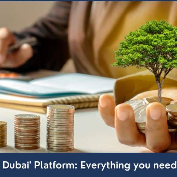 Invest in Dubai Platform invest in dubai