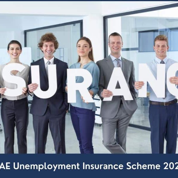 UAE Unemployment Insurance Scheme 2023 New Unemployment Insurance UAE