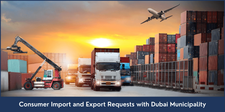 Consumer-Import-and-Export-Requests-with-Dubai-Municipality