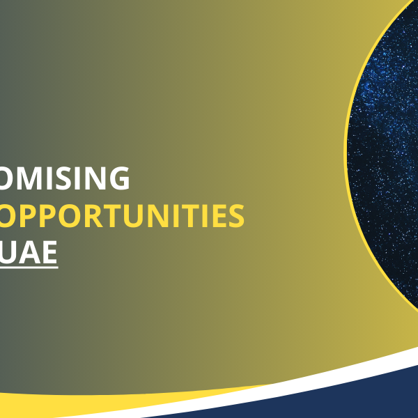 business-opportunities-RIZMONA