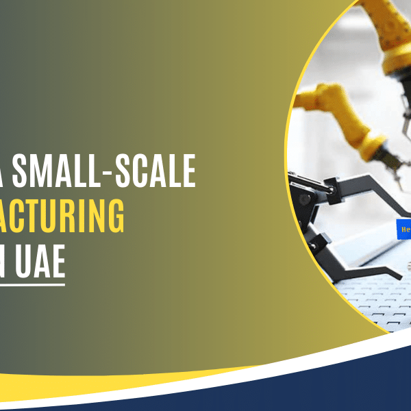 Establishing a Small-Scale Toy Manufacturing Business in the UAE toy-manufacturing-business